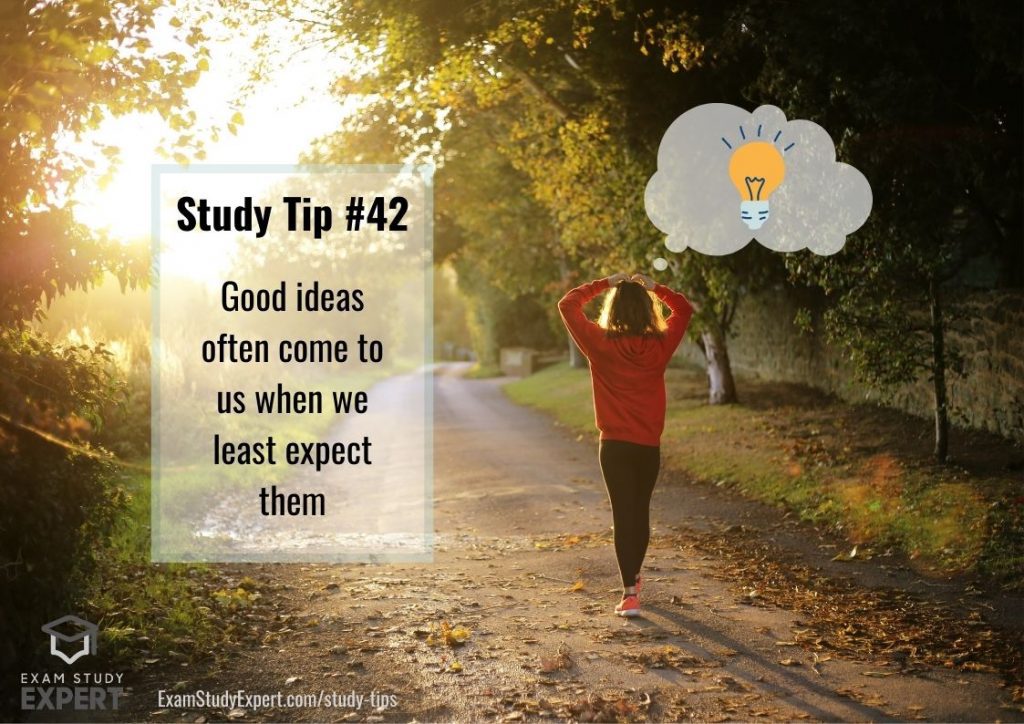 assignment study tips