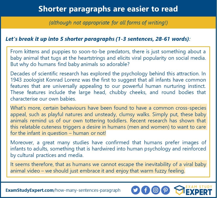 how many sentences should an essay paragraph have