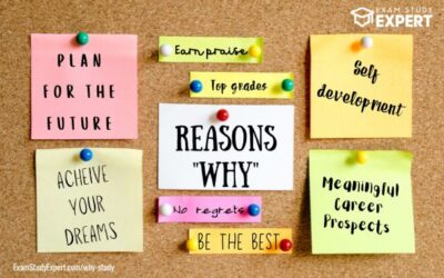 Why Study? 17 Reasons & Benefits To Inspire & Motivate You