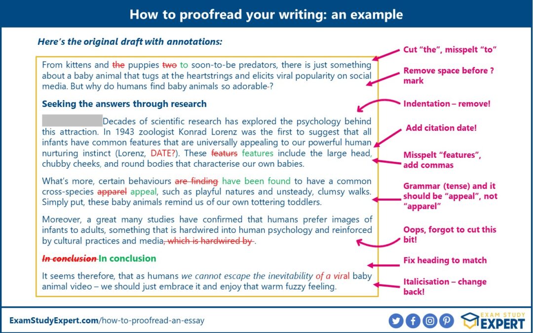 How To Proofread: 19 Foolproof Strategies To Power Up Your Writing