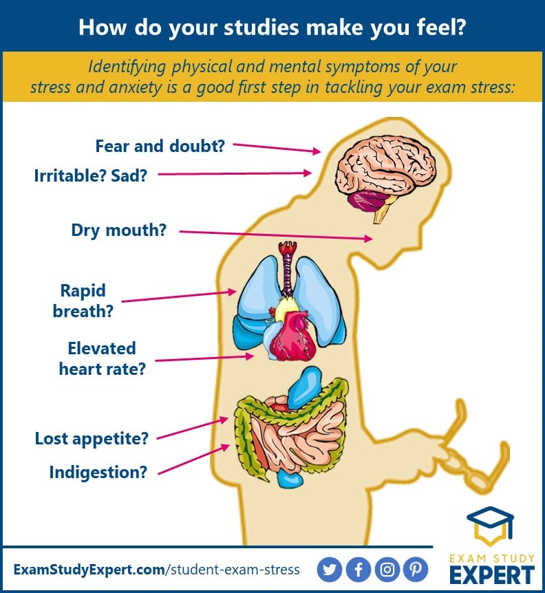 how to identify exam anxiety symptoms