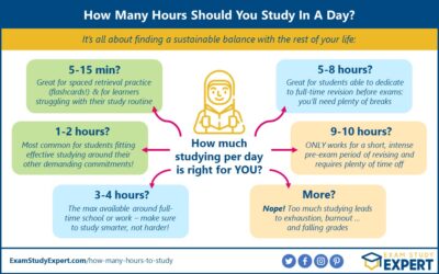 How Many Hours Should You Study A Day? The Comprehensive Guide